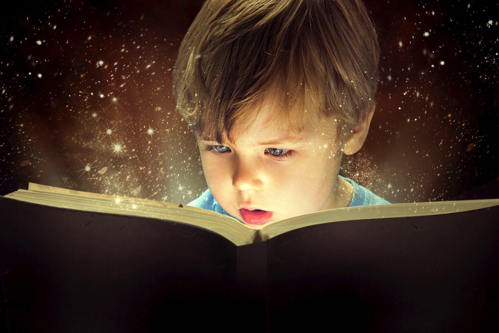 Young child reading a book